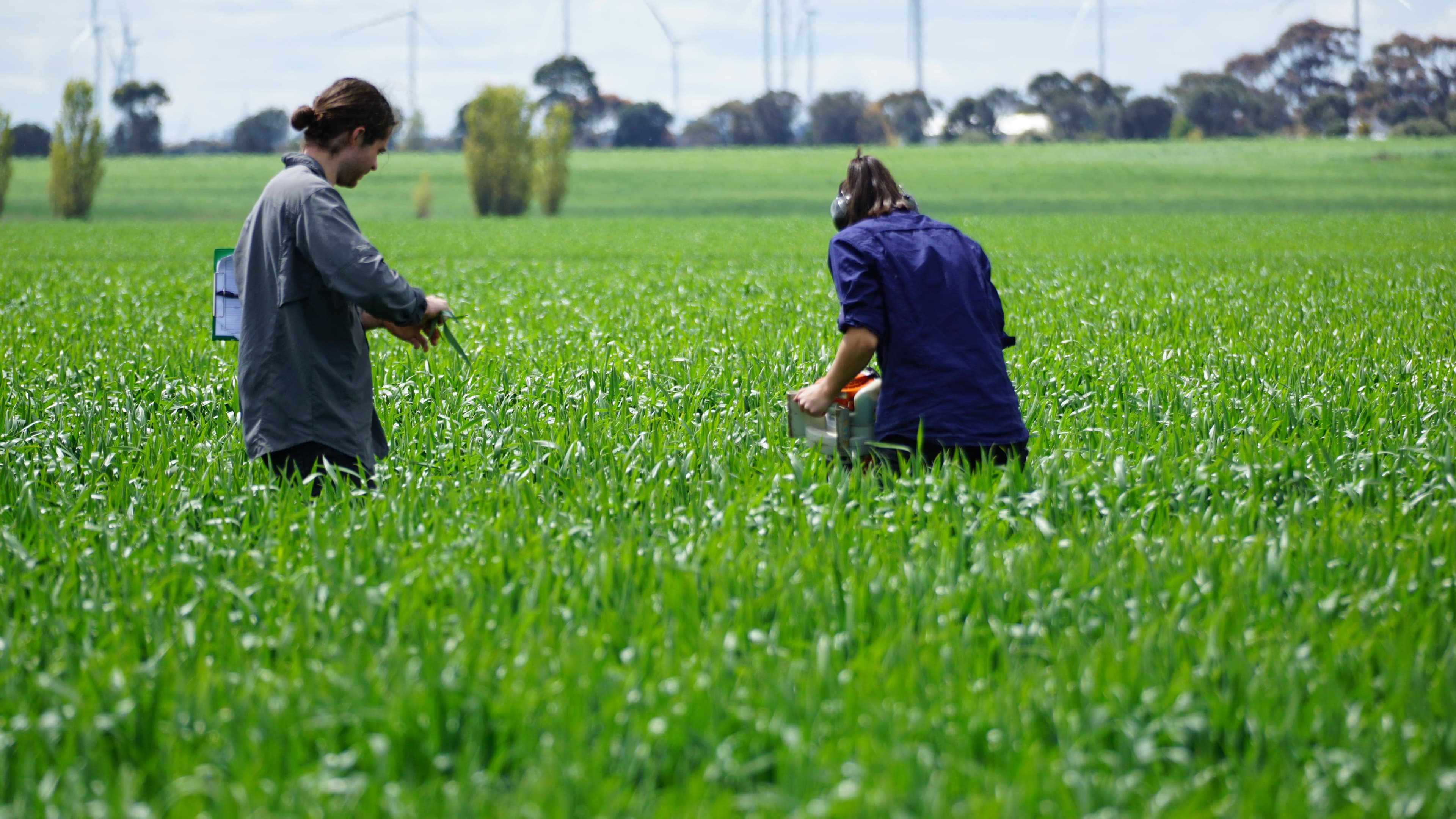 Launch of the IPM checklist